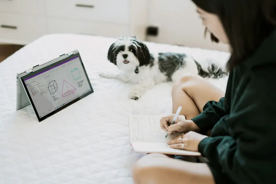 飼主用核對表與家庭預算筆記判斷是否投保，犬隻在旁休息