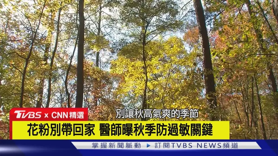 （2026-09-23）【CNN精選】秋季豚草花粉來襲 每5人就有1人過敏｜TVBS新聞 @TVBSNEWS01