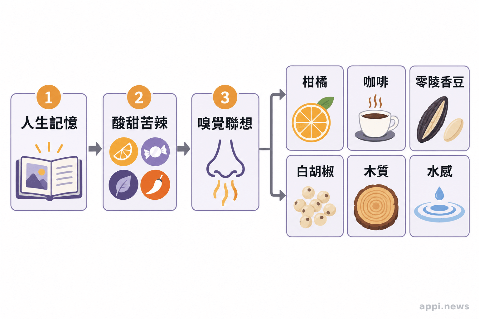 觀音焚香以人生記憶、酸甜苦辣與木質水感串連的創作概念圖