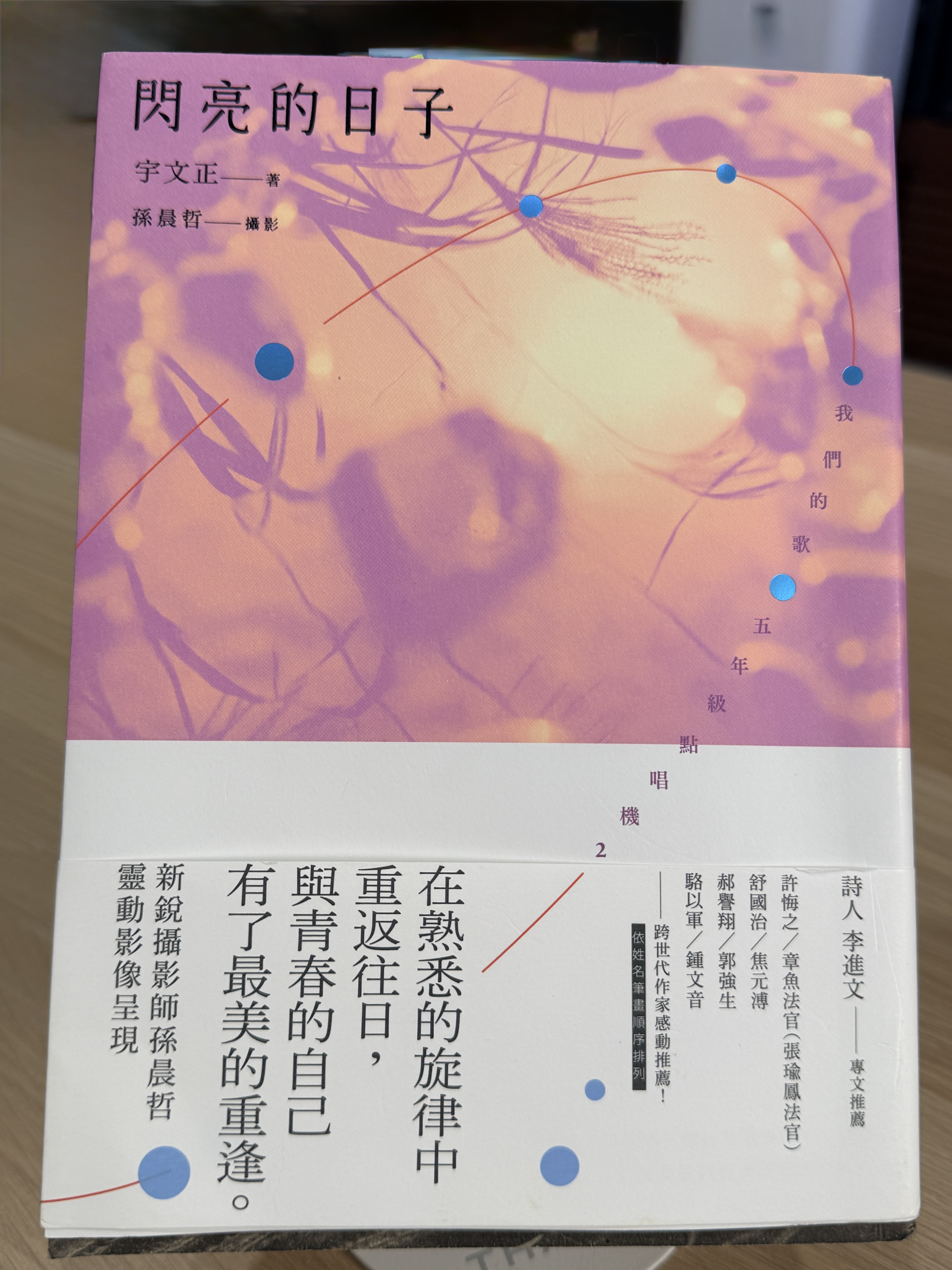 《閃亮的日子》書封與封底推薦文字