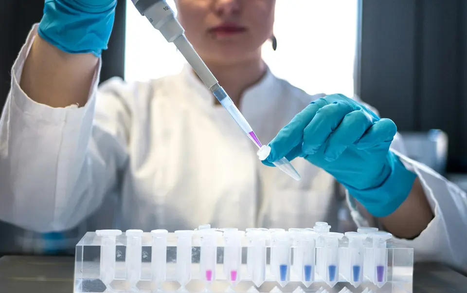 科學家在實驗室進行食品成分安全性分析