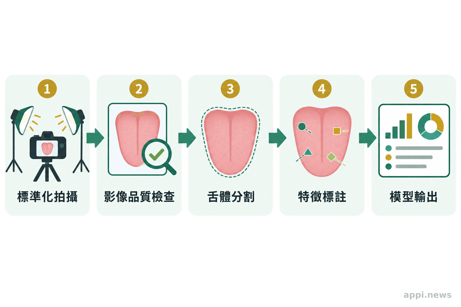 流程圖依序呈現標準化拍攝、影像品質檢查、舌體分割、特徵標註與模型輸出