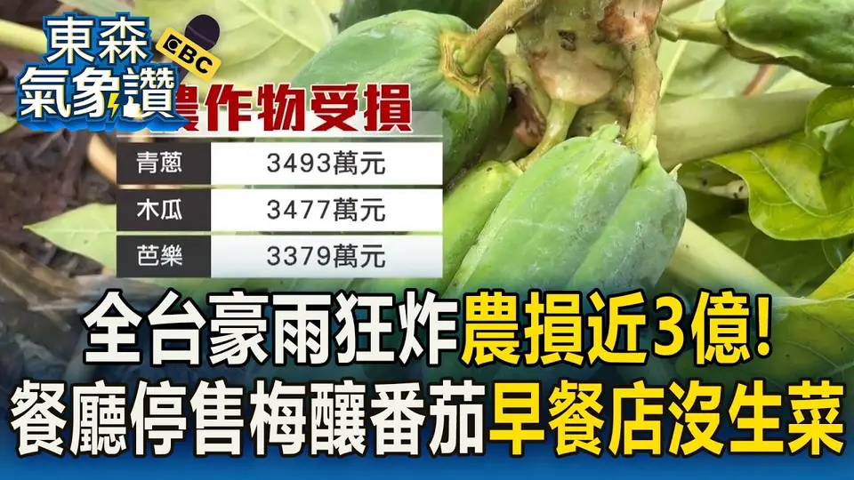 （2026-09-03）全台豪雨狂炸農損近3億！餐廳停售梅釀番茄 早餐店沒生菜 高雄最慘「青蔥爛光」芭樂單顆近百元難回穩【東森氣象讚】