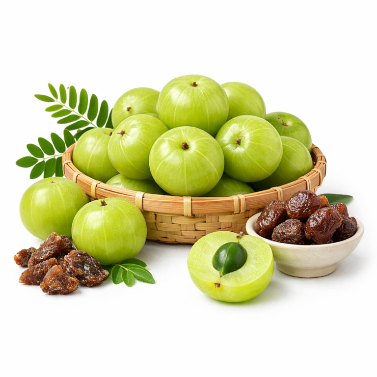 Copilot_20260313_083648